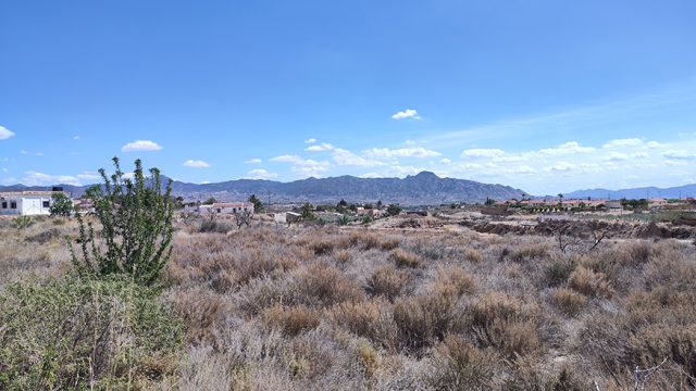 IMG_20230404_135006