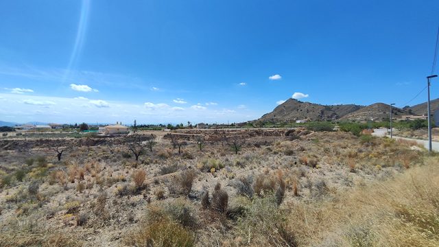 IMG_20230404_135134