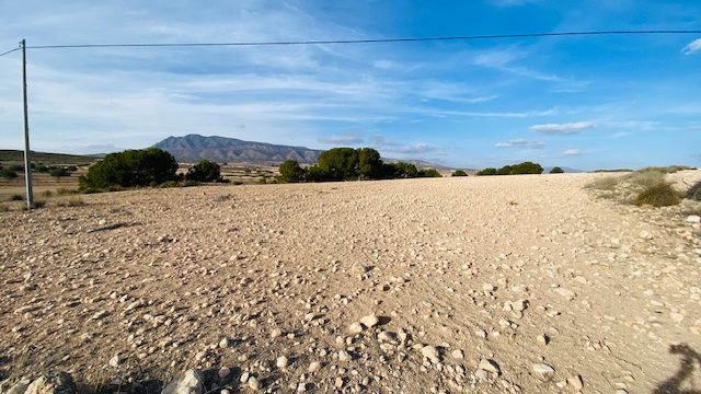 6A 38,36924°N 1,12504°W