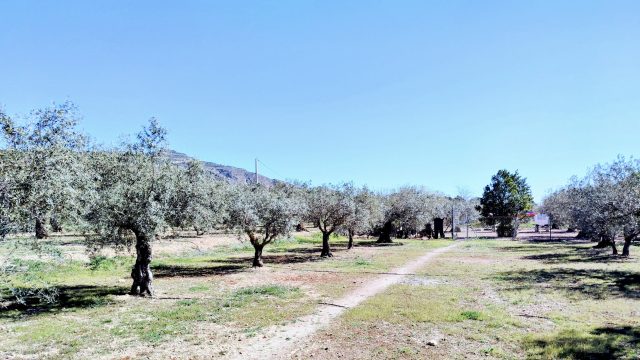 42.pad naar kippenren