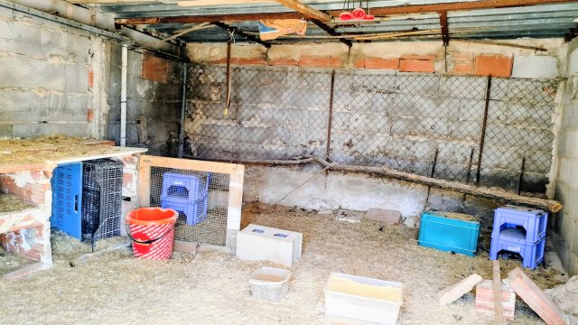 45.Binnenkant kippenhok