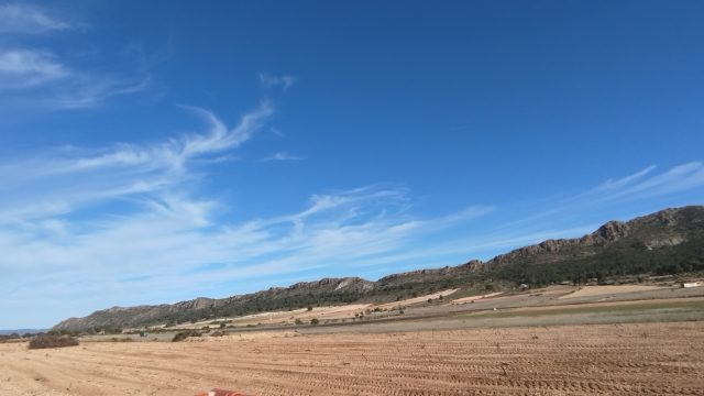Voorheen wijngaard hoog