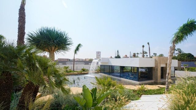 piscine web